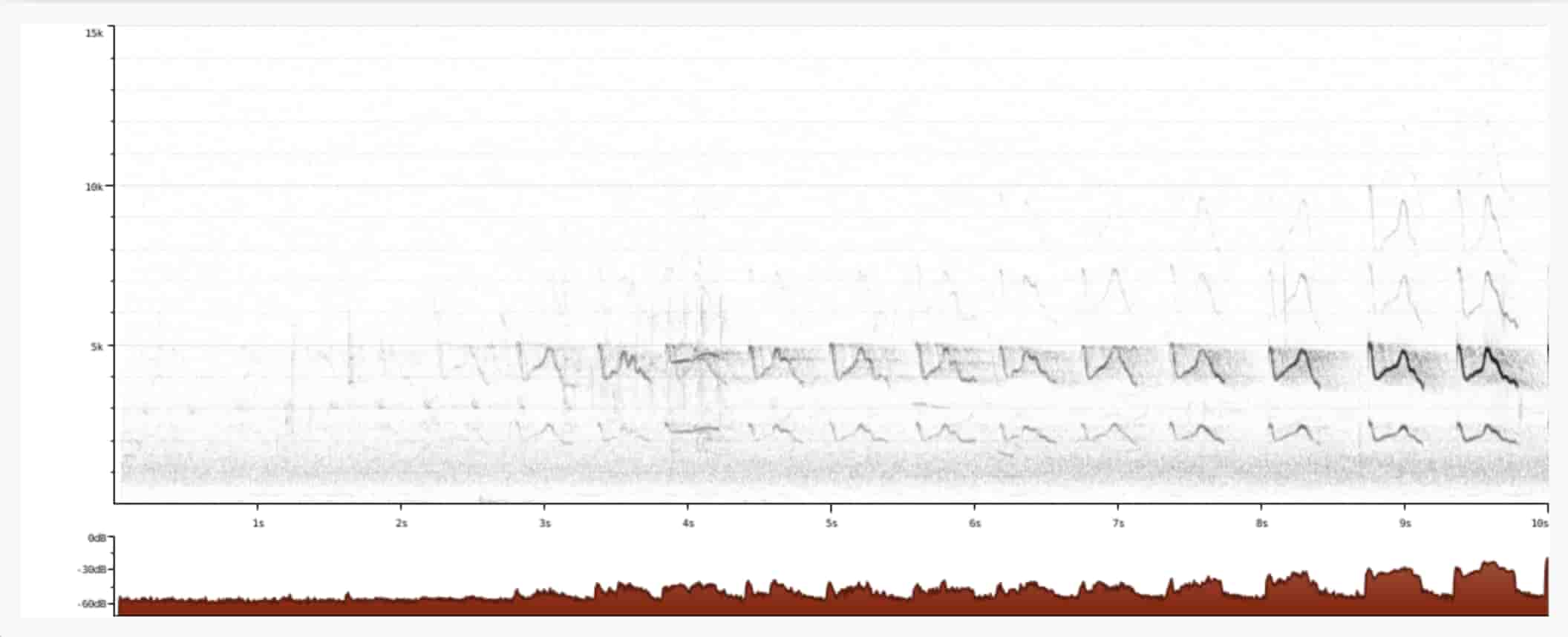 song sparrow spectogram